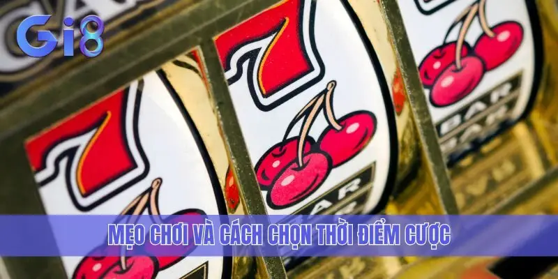Mẹo chơi và cách chọn thời điểm cược